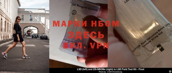 шишки Арсеньев