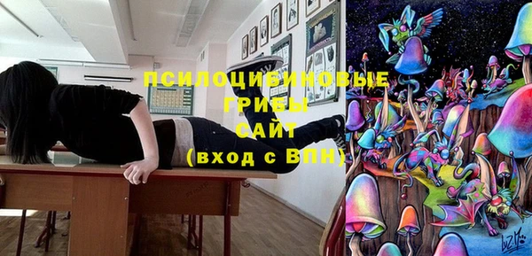 шишки Арсеньев