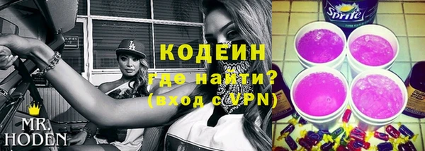 шишки Арсеньев