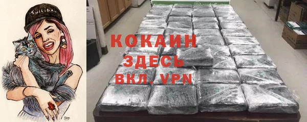 шишки Арсеньев