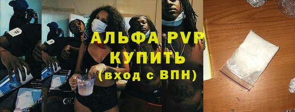 шишки Арсеньев