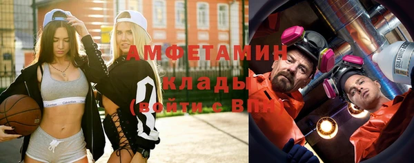 шишки Арсеньев